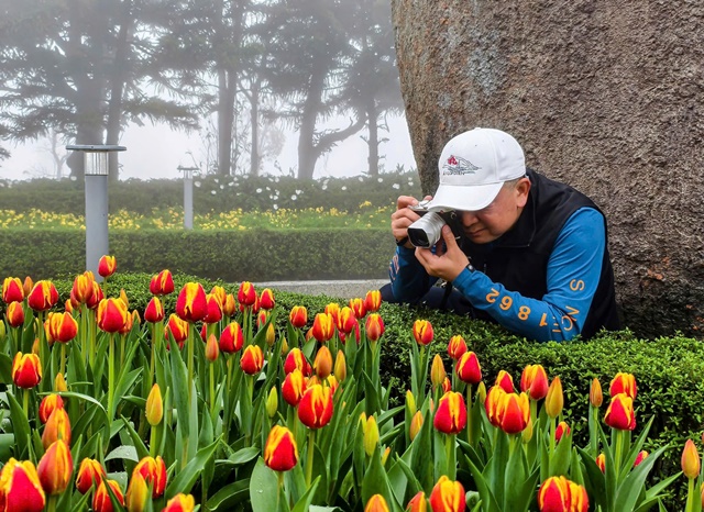 Khu du lịch Sun World Bà Nà Hills. Ảnh: Kim Liên