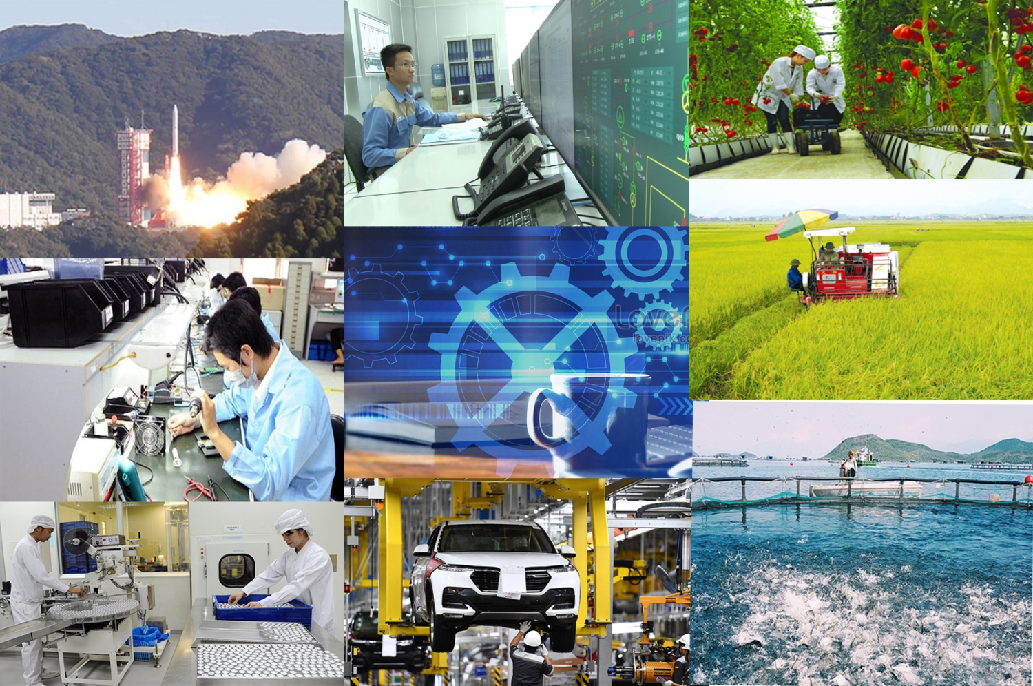 Đẩy mạnh đơn giản hóa thủ tục hành chính trong hoạt động khoa học, công nghệ và đổi mới sáng tạo