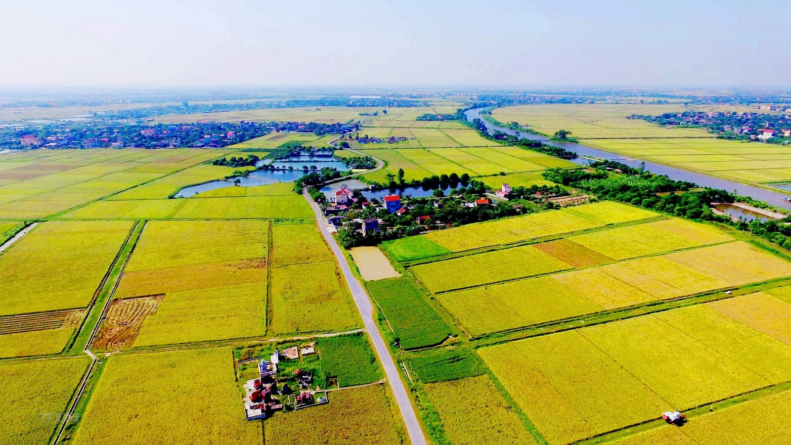 Bộ Tài chính đề xuất chính sách miễn thuế đất nông nghiệp đến năm 2030