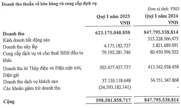 Cơ cấu doanh thu quý 1/2025 của HDG