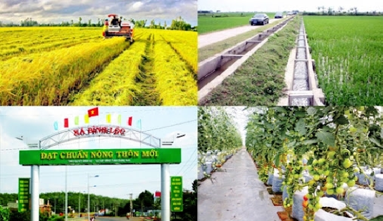 Ảnh minh họa, nguồn internet.