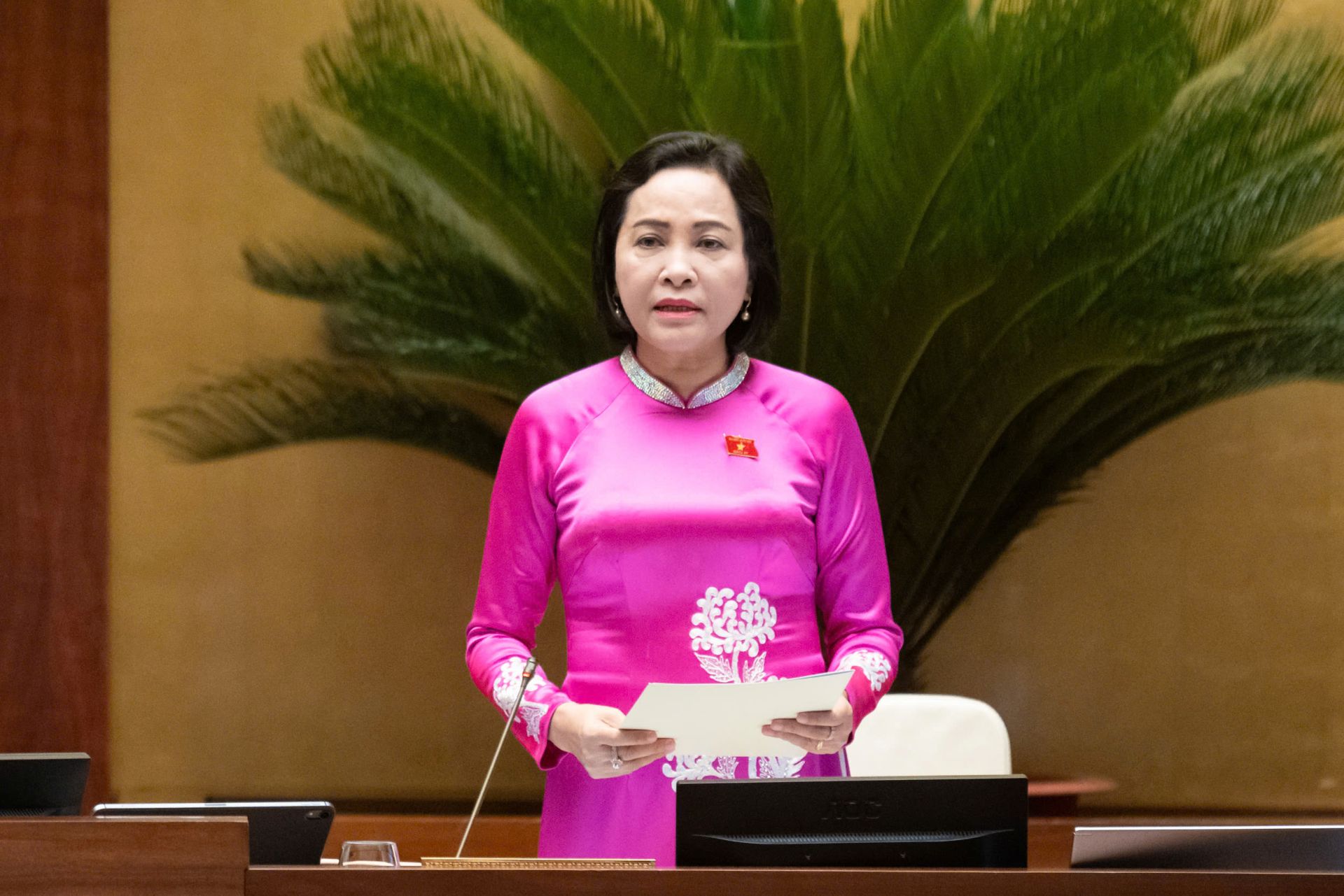 Phó Chủ tịch Quốc hội Nguyễn Thị Thanh điều hành Phiên họp Phó Chủ tịch Quốc hội Nguyễn Thị Thanh điều hành Phiên họp