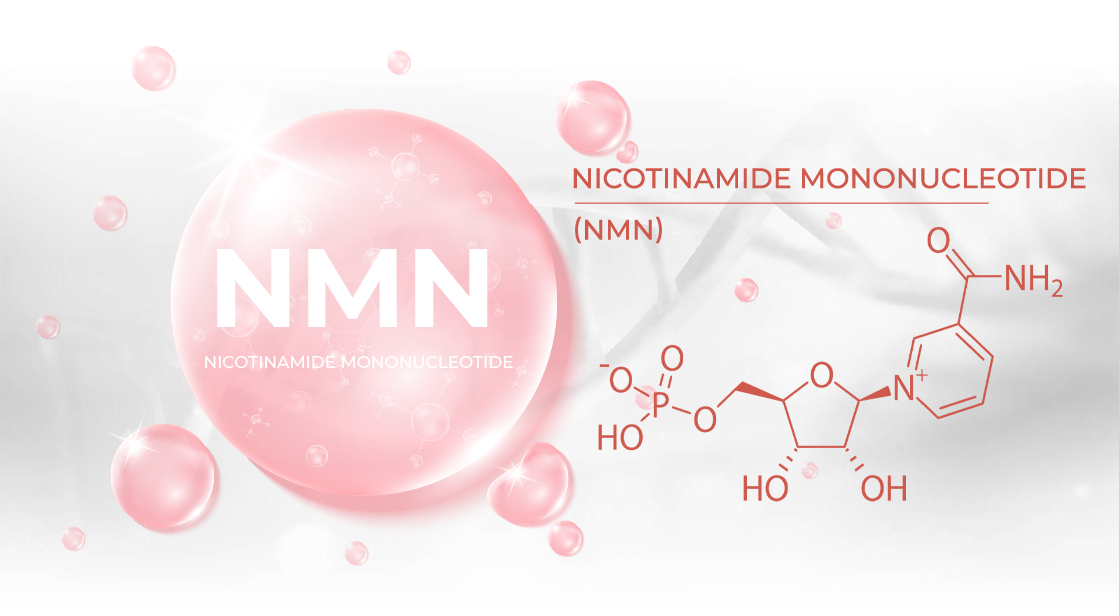 NMN giúp hỗ trợ giảm các dấu hiệu lão hóa da NMN giúp hỗ trợ giảm các dấu hiệu lão hóa da