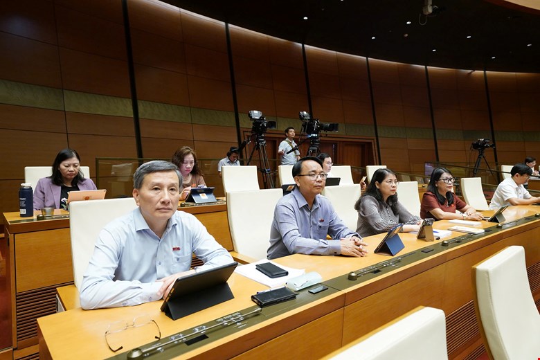 Đại biểu tham gia Phiên họp