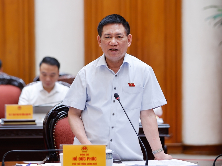 Phó Thủ tướng Hồ Đức Phớc phát biểu tại cuộc họp - Ảnh: VGP/Nhật Bắc