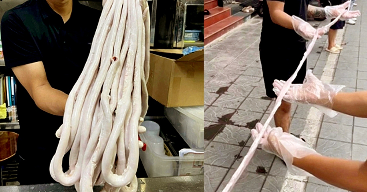 Cần làm rõ bộ ‘lòng xe điếu’ dài 40m có nguồn gốc từ đâu?