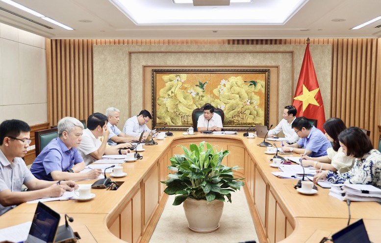 Phó Thủ tướng lưu ý, phải rà soát, cập nhật ngay các vấn đề mới với tinh thần khẩn trương, trong đó tập trung vào việc khi có chính quyền 2 cấp thì triển khai đăng ký doanh nghiệp như thế nào, giao cho xã và sở ra sao - Ảnh: VGP/Thu Sa