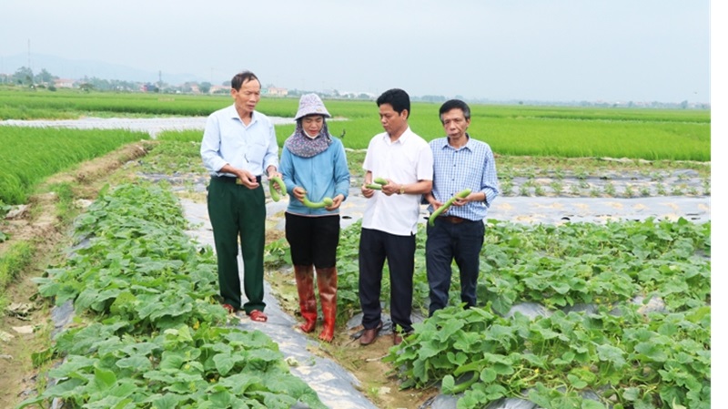 Bắc Ninh: Hơn 648.000 lượt hội viên nông dân ký cam kết “Nói không với thực phẩm không an toàn”