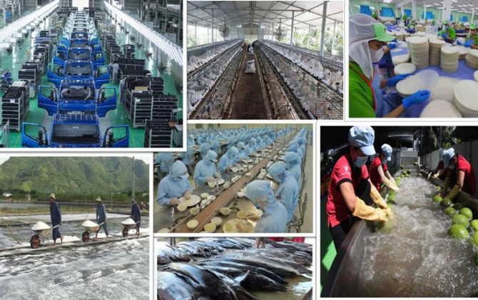 Cải cách thể chế là biện pháp cải cách “rẻ nhất”, “dễ nhất” để kinh tế tư nhân bứt phá