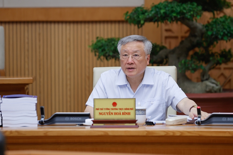 Phó Thủ tướng Thường trực Chính phủ Nguyễn Hòa Bình phát biểu - Ảnh: VGP/Nhật Bắc