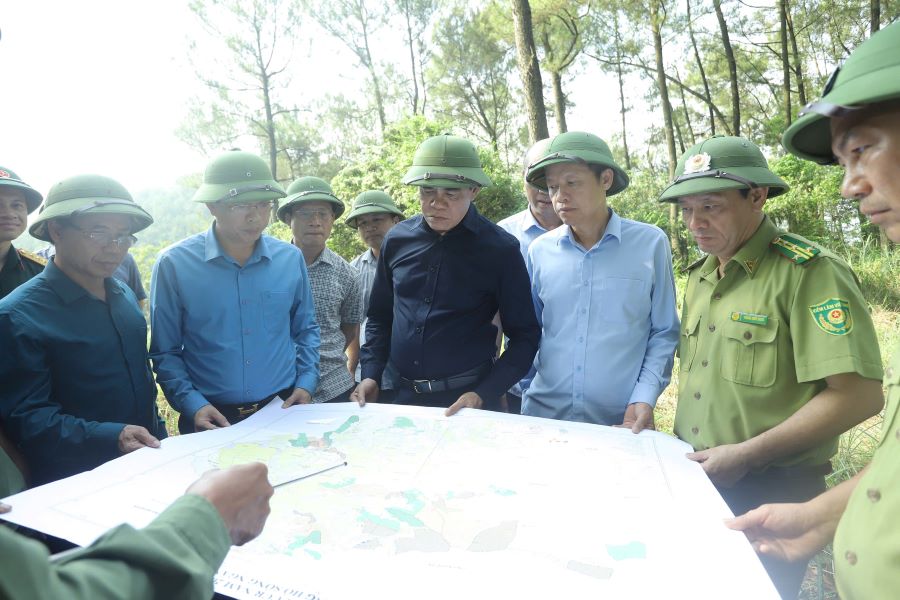 Hà Tĩnh tăng cường công tác phòng chống cháy rừng mùa nắng nóng