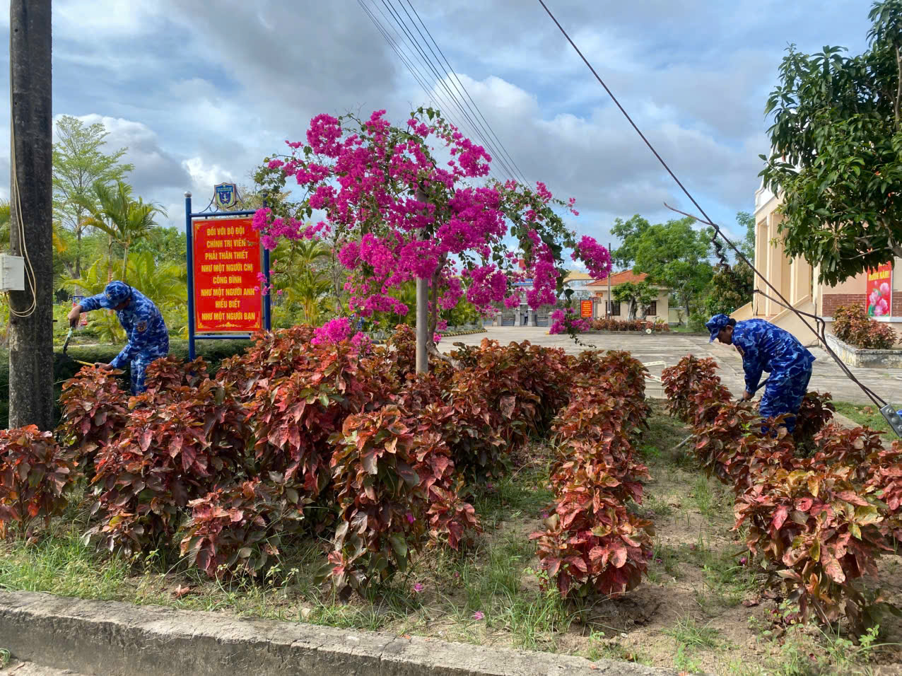Chăm sóc vườn hoa tại cơ quan hải đoàn Chăm sóc vườn hoa tại cơ quan hải đoàn