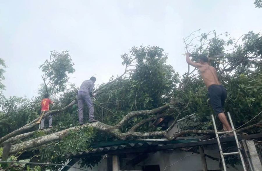 Hà Tĩnh: Huyện Hương Sơn thiệt hại nặng nề sau mưa lớn kèm lốc xoáy