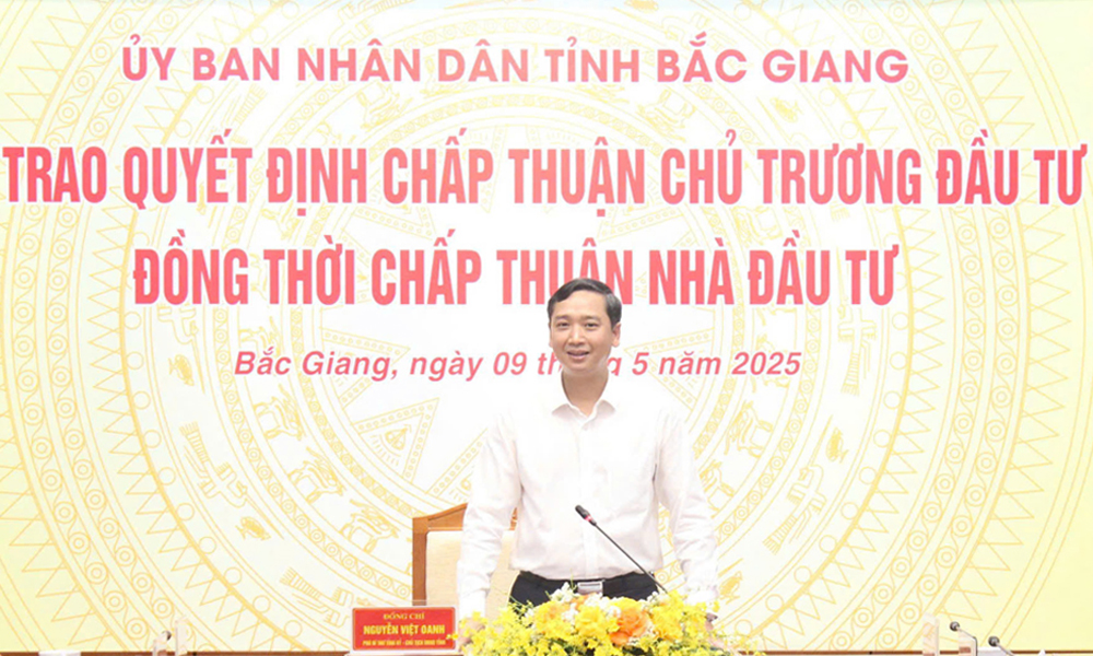 Đồng chí Nguyễn Việt Oanh, Chủ tịch UBND tỉnh phát biểu tại hội nghị. Đồng chí Nguyễn Việt Oanh, Chủ tịch UBND tỉnh phát biểu tại hội nghị.