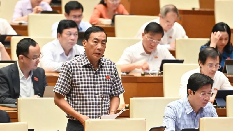 Cân nhắc việc cho doanh nghiệp nhà nước đầu tư ngoài ngành để tránh rủi ro