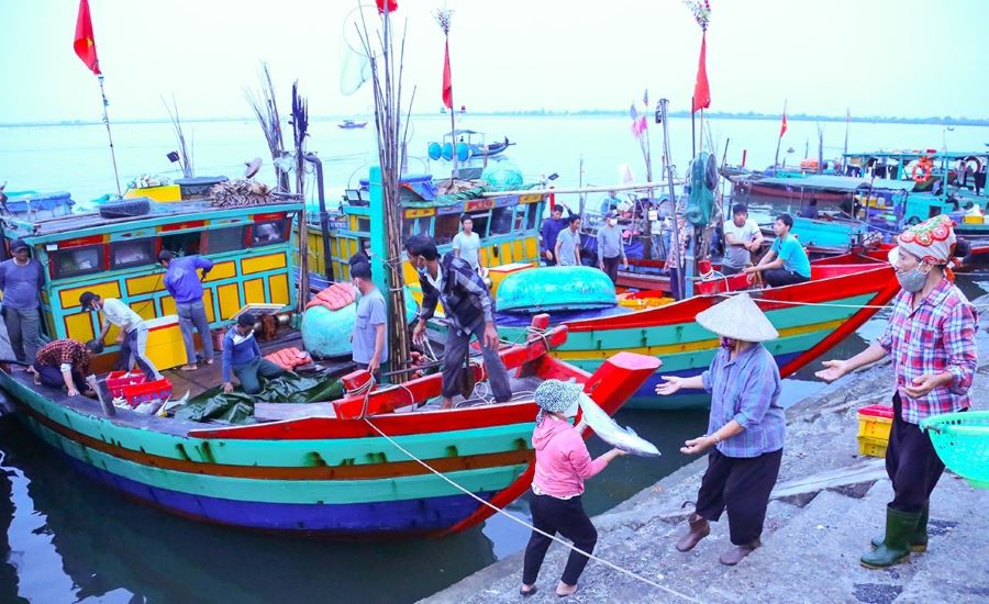 Hà Tĩnh: Tổng sản lượng thủy sản trong 4 tháng đầu năm đạt hơn 18.500 tấn