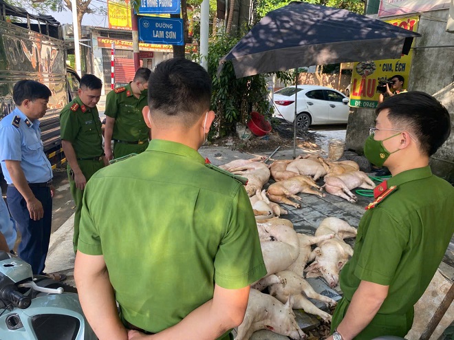 Vĩnh Phúc: Phát hiện và tiêu hủy gần 800kg thịt lợn bốc mùi hôi thối tại nhà hàng