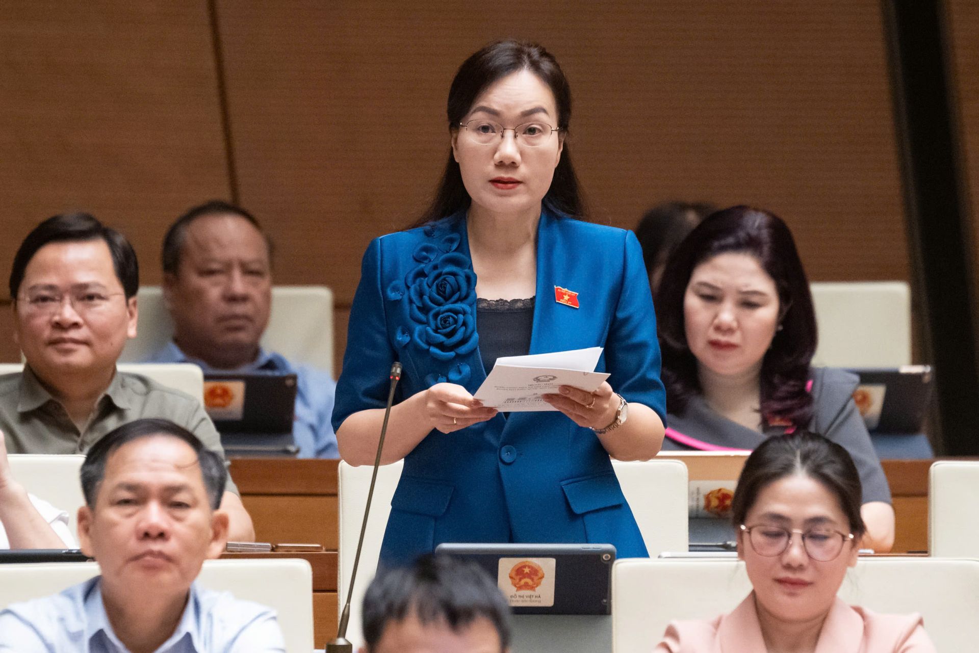 Đại biểu Đỗ Thị Việt Hà.