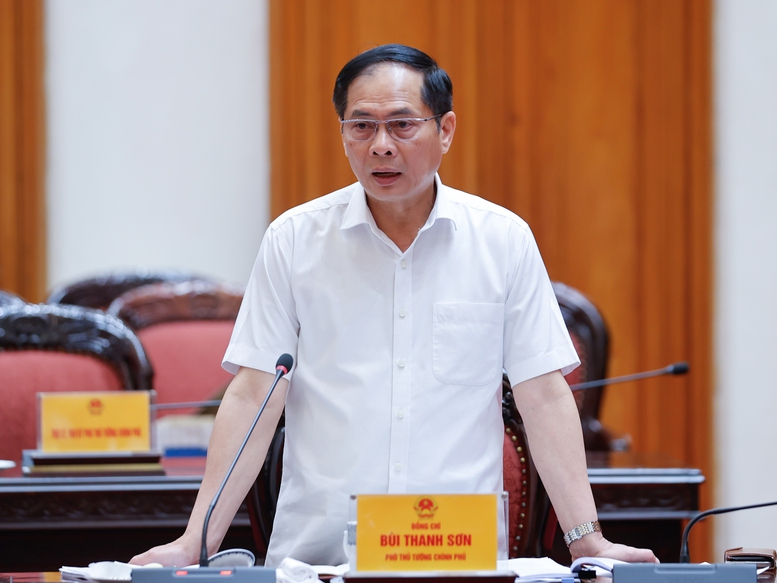 Phó Thủ tướng, Bộ trưởng Bộ Ngoại giao Bùi Thanh Sơn phát biểu tại cuộc họp - Ảnh: VGP/Nhật Bắc Phó Thủ tướng, Bộ trưởng Bộ Ngoại giao Bùi Thanh Sơn phát biểu tại cuộc họp - Ảnh: VGP/Nhật Bắc