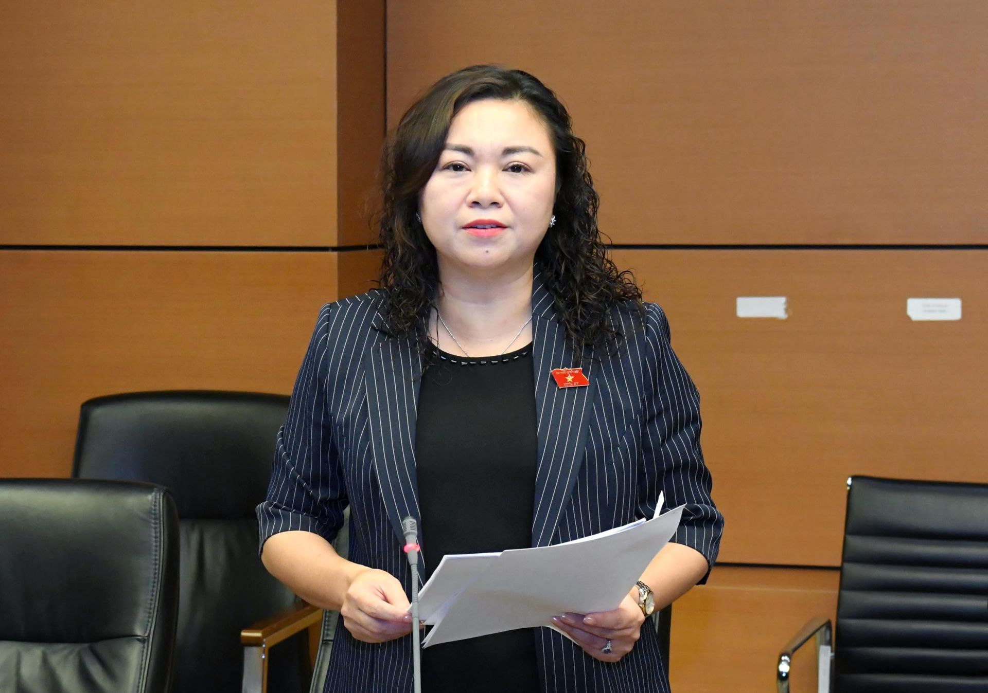 Đại biểu Đặng Bích Ngọc - Đoàn ĐBQH tỉnh Hòa Bình Đại biểu Đặng Bích Ngọc - Đoàn ĐBQH tỉnh Hòa Bình