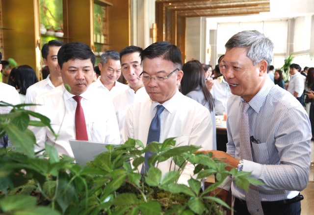 Thương hiệu sâm Ngọc Linh là di sản văn hóa phi vật thể quốc gia