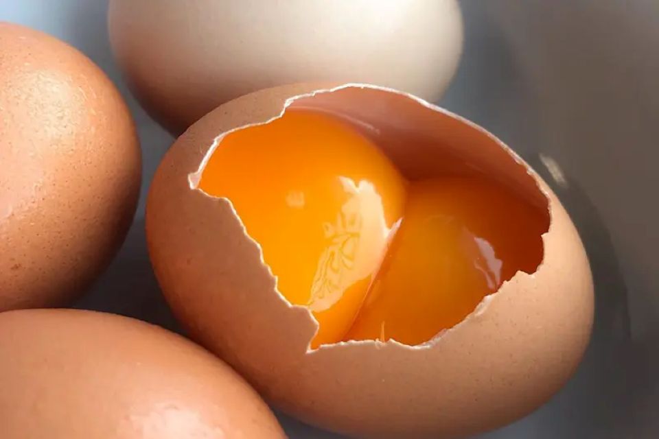 Ảnh minh họa Ảnh minh họa