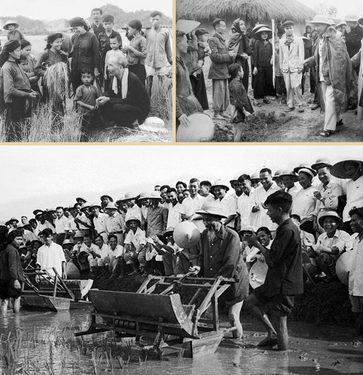 Ảnh Tư liệu. Ảnh Tư liệu.