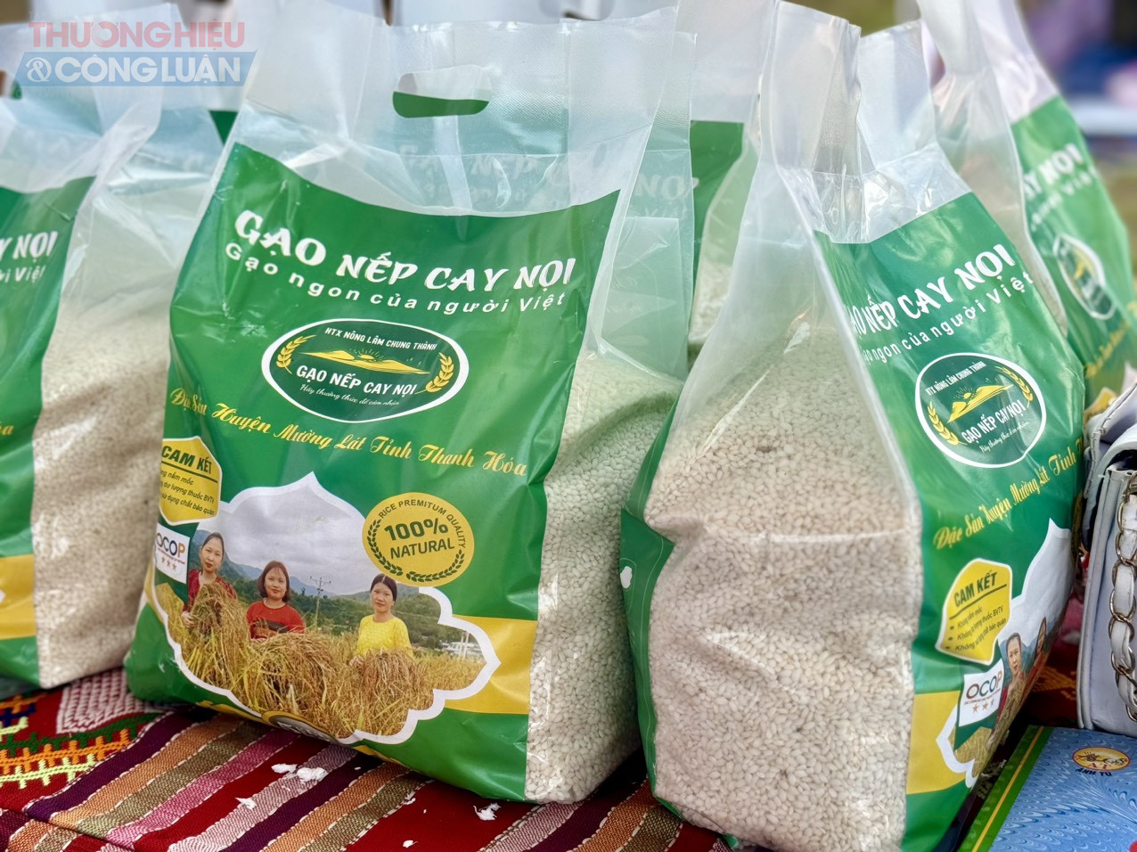 Thương hiệu gạo nếp Cay Nọi, tỉnh Thanh Hóa Thương hiệu gạo nếp Cay Nọi, tỉnh Thanh Hóa
