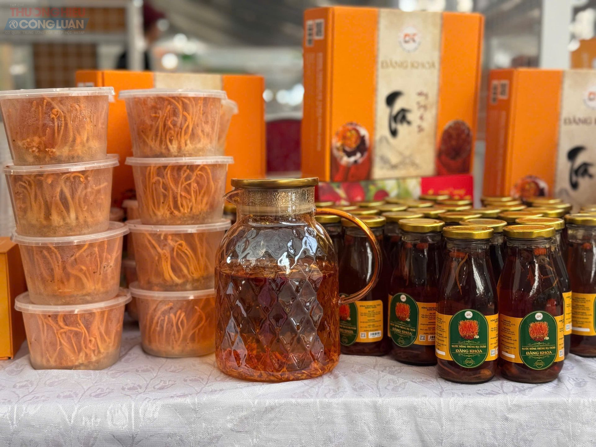 Sản phẩm Đông trùng hạ thảo của công ty TNHH Đăng Khoa, tỉnh Thanh Hóa Sản phẩm Đông trùng hạ thảo của công ty TNHH Đăng Khoa, tỉnh Thanh Hóa