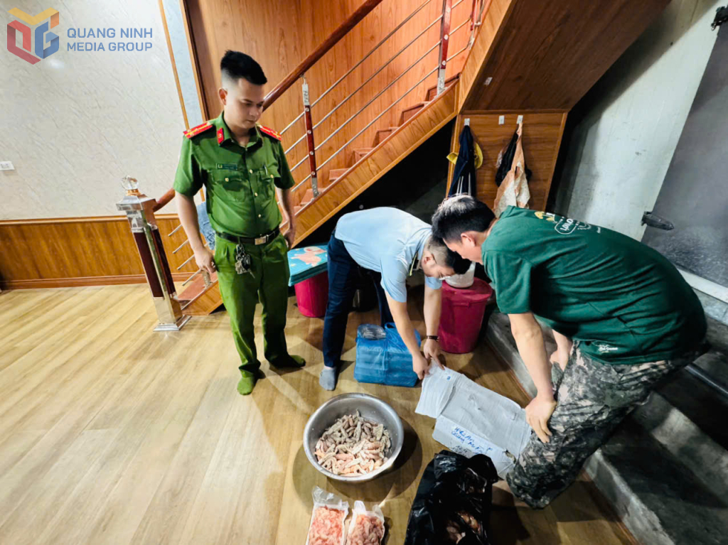 Phát hiện 480kg thực phẩm đông lạnh không rõ nguồn gốc xuất xứ. Phát hiện 480kg thực phẩm đông lạnh không rõ nguồn gốc xuất xứ.