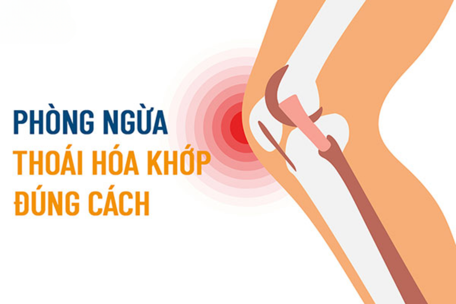 Phòng ngừa thoái hóa khớp đúng cách bằng những biện pháp đơn giản tại nhà