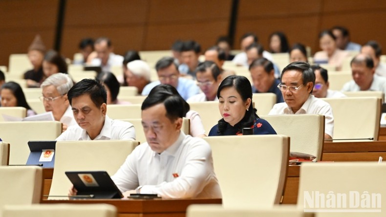 Các đại biểu tham dự phiên họp. (Ảnh: Thủy Nguyên)