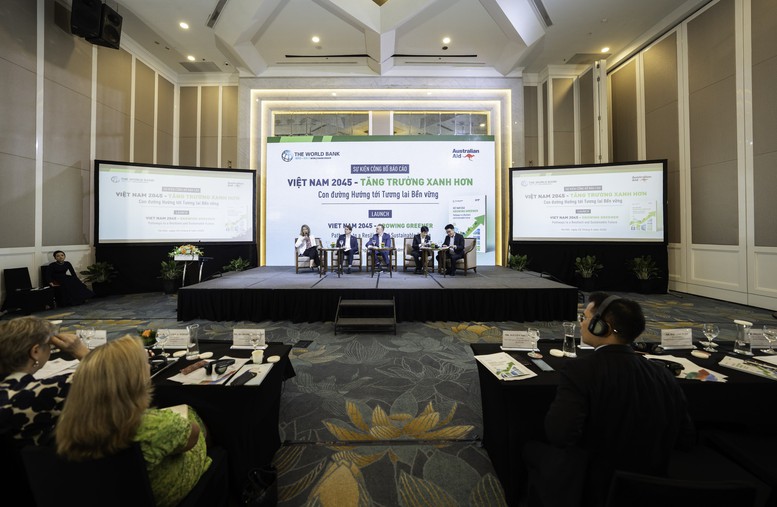 Các chuyên gia, tổ chức quốc tế trao đổi tại tọa đàm - Ảnh: VGP/HT