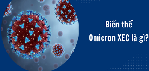 TP. Hồ Chí Minh kích hoạt ứng phó COVID-19, cảnh báo biến chủng Omicron XEC cần theo dõi