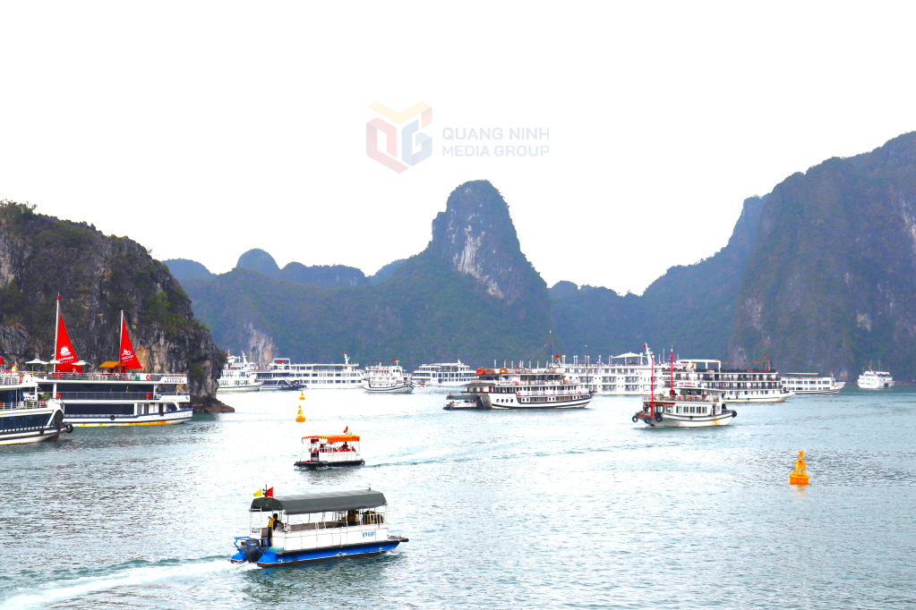 Theo quy định, các tổ chức, cá nhân đang có hoạt động du lịch, dịch vụ trên vịnh Hạ Long phải cam kết không sử dụng, mua bán các sản phẩm từ nhựa dùng 1 lần. Theo quy định, các tổ chức, cá nhân đang có hoạt động du lịch, dịch vụ trên vịnh Hạ Long phải cam kết không sử dụng, mua bán các sản phẩm từ nhựa dùng 1 lần.