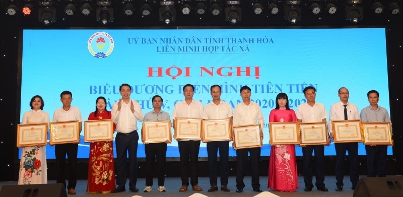 Liên minh HTX Thanh Hóa biểu dương điển hình tiên tiến, giai đoạn 2020-2025