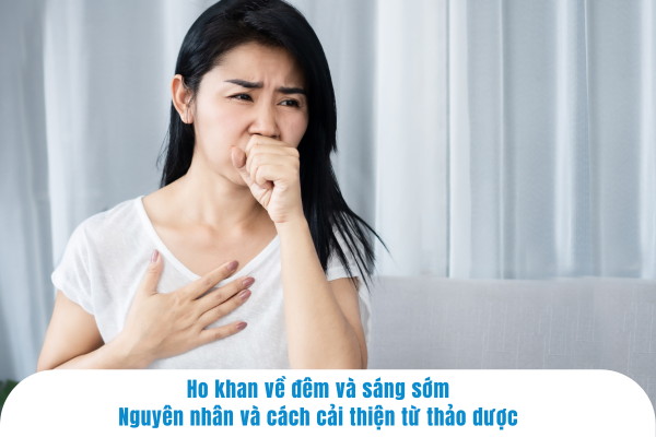 Ho khan về đêm và sáng sớm: Nguyên nhân và cách hỗ trợ cải thiện từ thảo dược