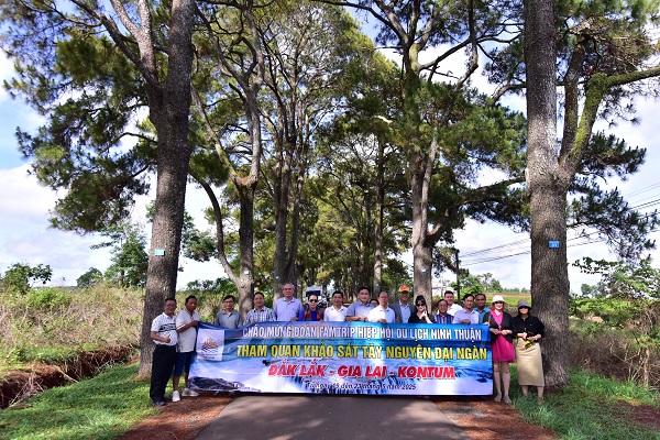 Đoàn Famtrip tỉnh Ninh Thuận thăm hàng thông trăm tuổi tại tỉnh Gia Lai