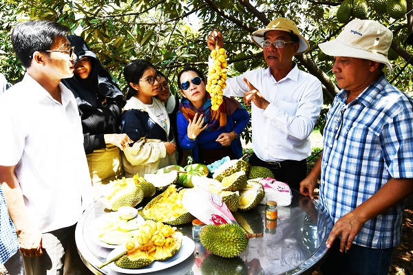 Đoàn Famtrip tỉnh Ninh Thuận thăm Farmstay Sâm Phát Ialy, tỉnh Gia Lai, được ông chủ nhiệt tình giới thiệu và mời thưởng thức sản phẩm trái cây sạch của doanh nghiệp tại vườn