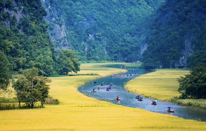 Ninh Bình "thay áo vàng" đón du khách tại Tuần Du lịch 2025