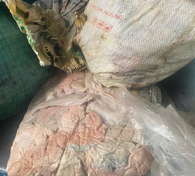 Toàn bộ số lòng lợn khi phát hiện đã bốc mùi hôi thối Toàn bộ số lòng lợn khi phát hiện đã bốc mùi hôi thối
