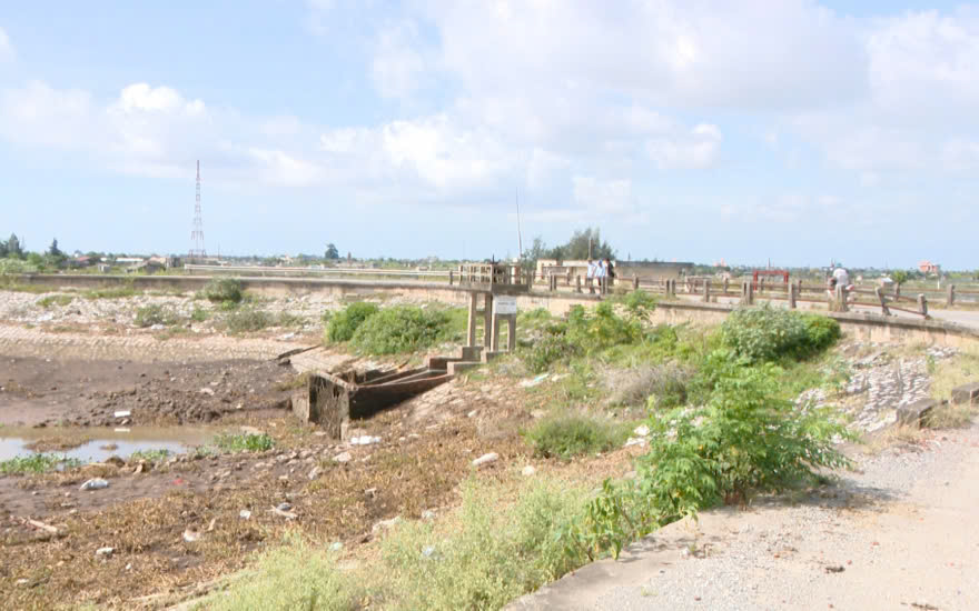 Thái Bình: Tăng cường công tác quản lý bảo đảm an toàn công trình đê điều, thủy lợi