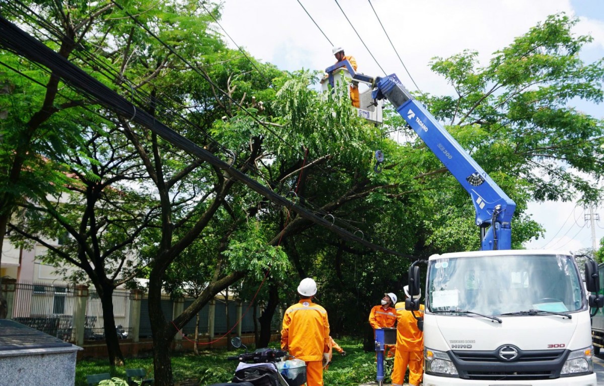 Công nhân ngành điện xử lý nhánh cây để đảm bảo an toàn điện mùa mưa, bão