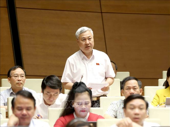 Đại biểu Quốc hội tỉnh Bắc Giang Trần Văn Lâm phát biểu. Ảnh: Phương Hoa/TTXVN Đại biểu Quốc hội tỉnh Bắc Giang Trần Văn Lâm phát biểu. Ảnh: Phương Hoa/TTXVN