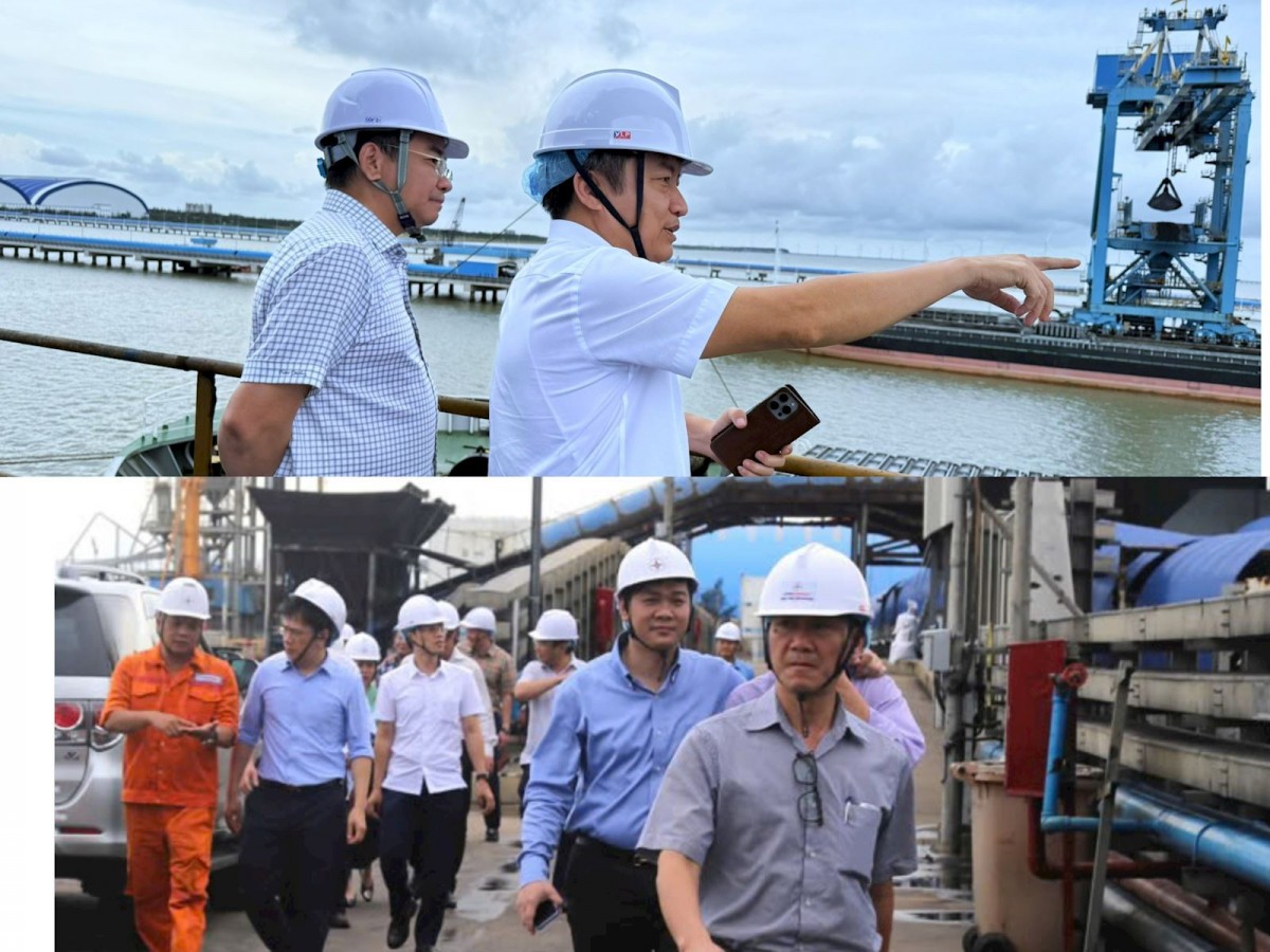 Đoàn công tác khảo sát các khu vực sản xuất của Công ty Đoàn công tác khảo sát các khu vực sản xuất của Công ty