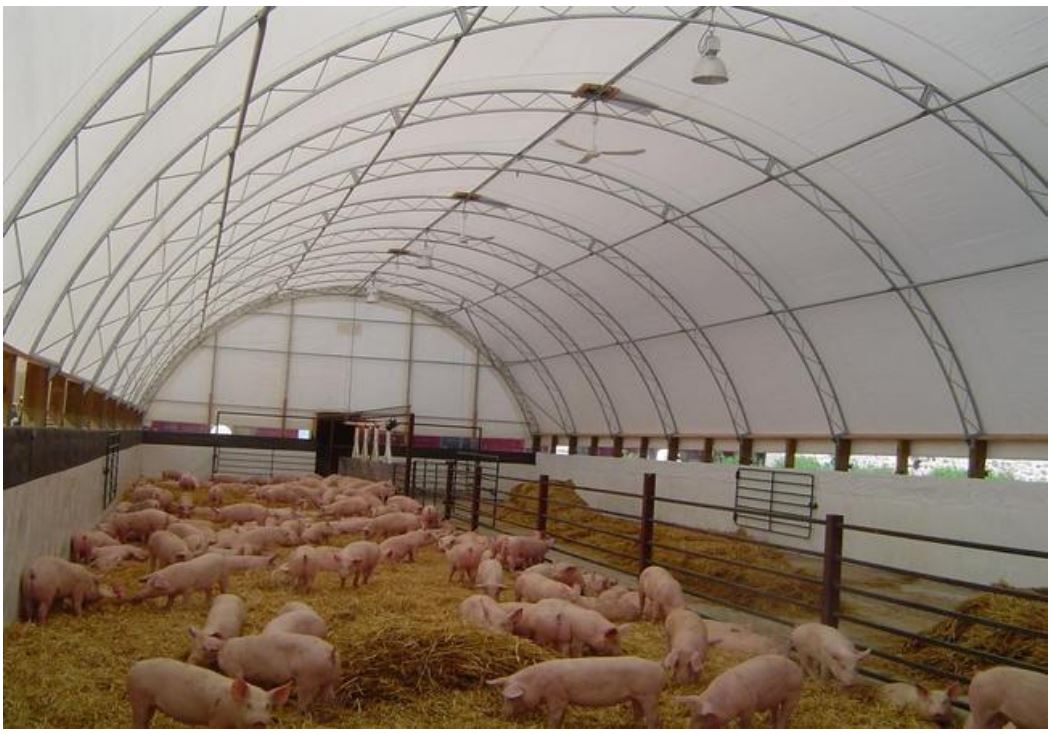 Trang trại lợn (Nguồn: TỔNG CÔNG TY CHĂN NUÔI VIỆT NAM- CTCP