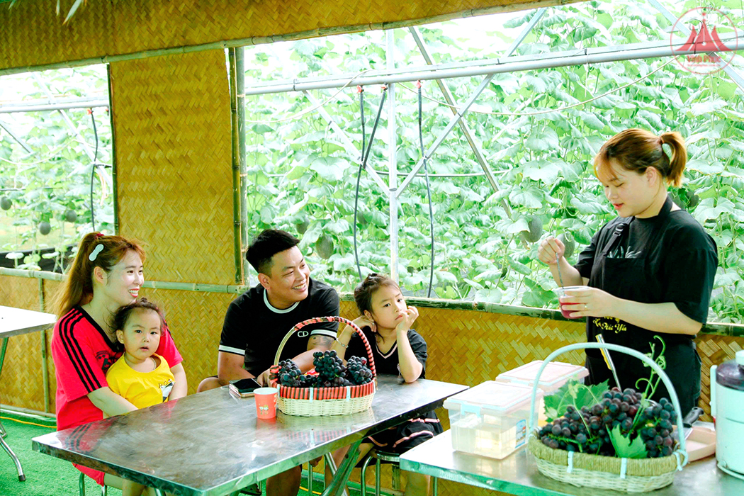 Vĩnh Phúc đẩy mạnh phát triển nông, lâm, thủy sản gắn với đa dạng hóa thị trường tiêu thụ