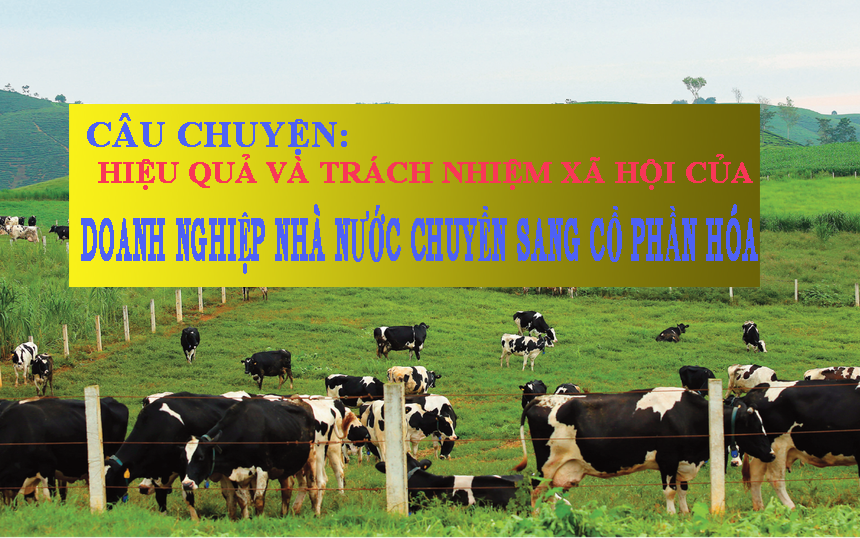 Câu chuyện hiệu quả và trách nhiệm xã hội của doanh nghiệp Nhà nước chuyển sang cổ phần hóa