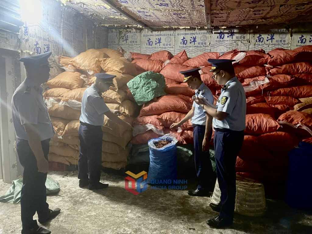 Đội QLTT số 1, Chi Cục QLTT tỉnh Quảng Ninh phối hợp với lực lượng chức năng thu giữ gần 8 tấn chân gà không rõ nguồn gốc. Đội QLTT số 1, Chi Cục QLTT tỉnh Quảng Ninh phối hợp với lực lượng chức năng thu giữ gần 8 tấn chân gà không rõ nguồn gốc.
