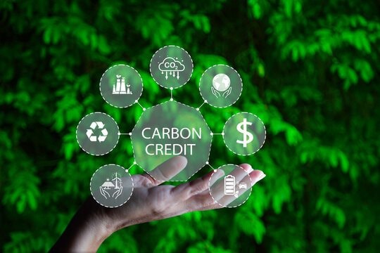 MRV quan trọng thế nào trong hành trình đạt tín chỉ carbon?